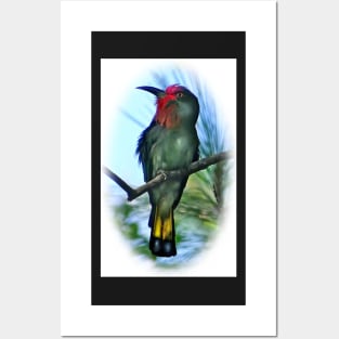 RED BEARDED BEE EATER PORTRAIT Posters and Art